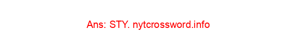 Messy room NYT Crossword Clue